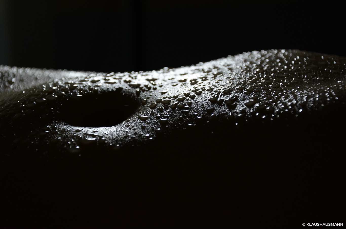 пенис дилдо, истинско дилдо, реалистично дилдо, секс играчка, вагина, анус, мастурбатор, сексшоп, секс шоп, sexshop, sexwell