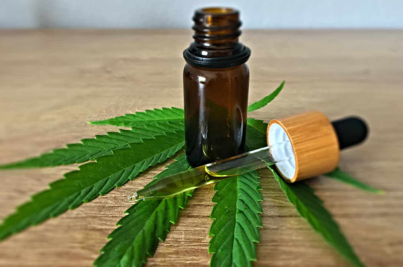 unsplash.com/@cbd_infos_com