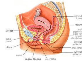 G spot location