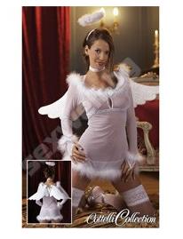 Angel sexy costume