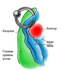 above the clit piercing