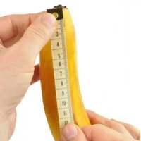 Measuring penis size