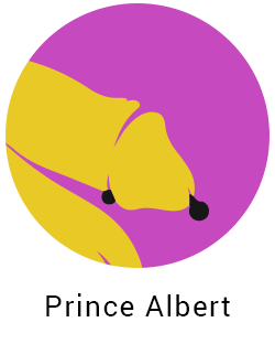 prince albert