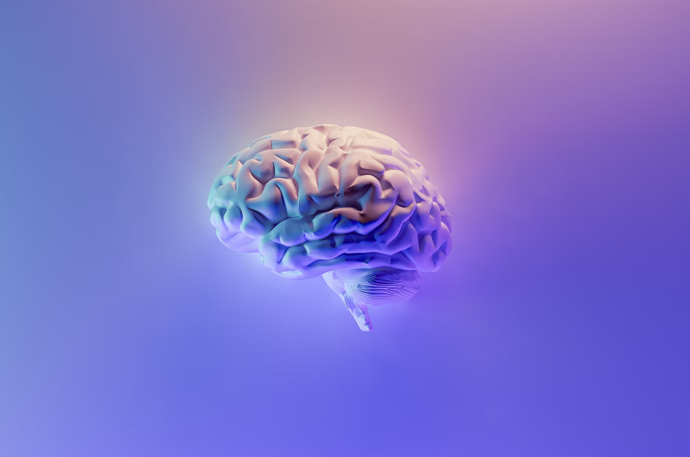 Разликата между мъжкия и женския мозък по време на оргазъм