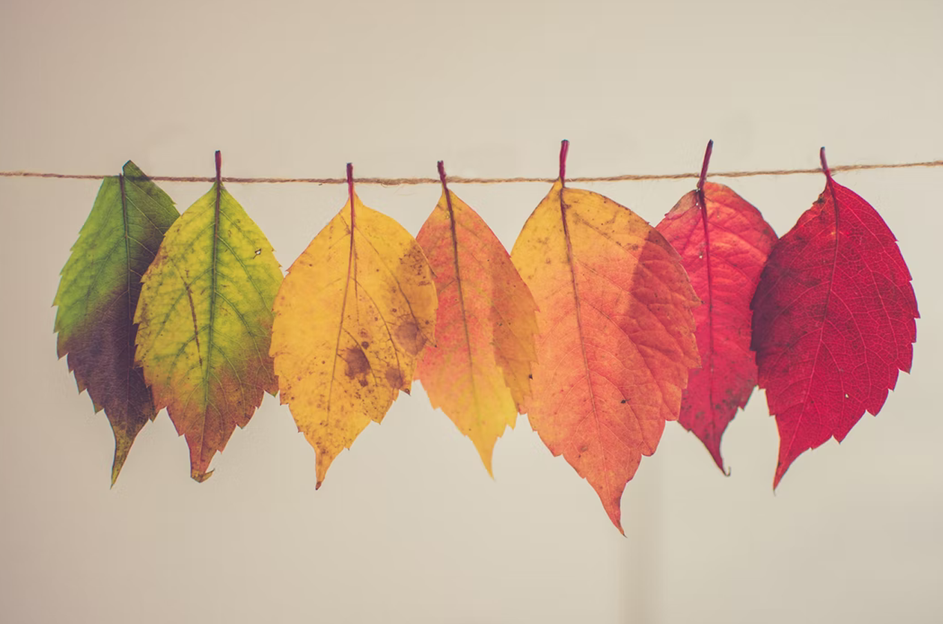 Есента е най-сексапилното време от годината... ето защо!