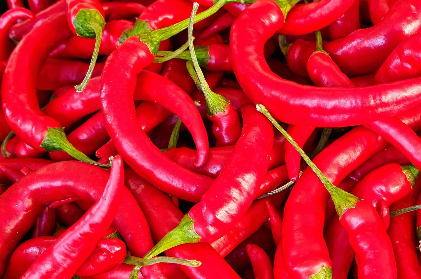 image by unsplash contributor @alschim