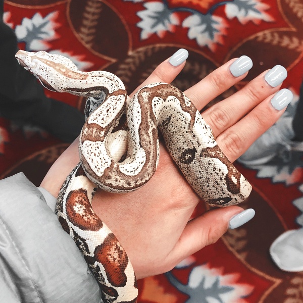 Какво е общото между жените и змиите?