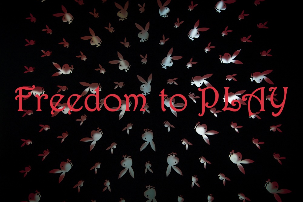 PLAYBOY ПРАВИ СЕКС ИГРАЧКИ!