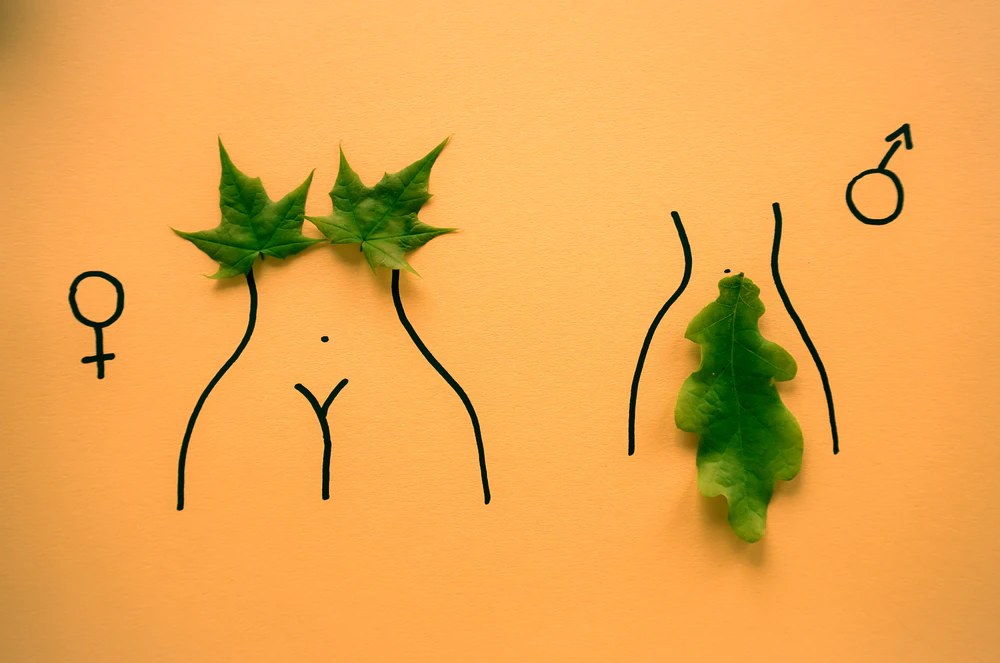 Летен секс наръчник