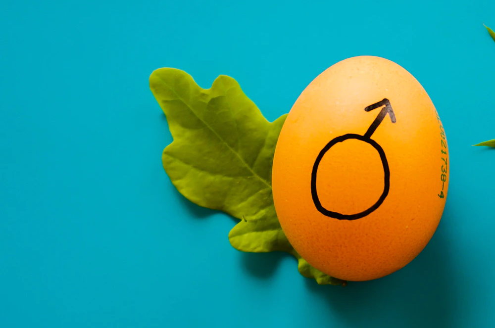 Месец на мастурбацията част 2: как мастурбират мъжете