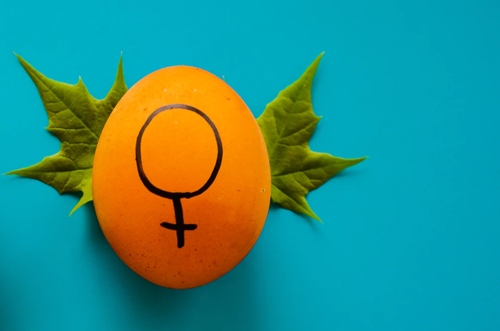 Месец на мастурбацията част 1: как мастурбират жените