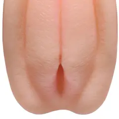 Мастурбатор Perfect Pussy Pleasure