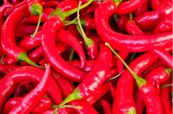 image by unsplash contributor @alschim