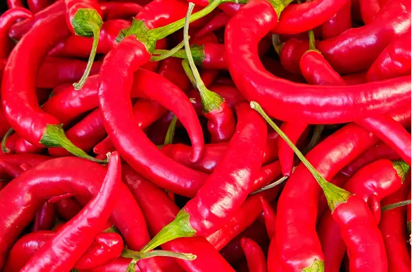 image by unsplash contributor @alschim