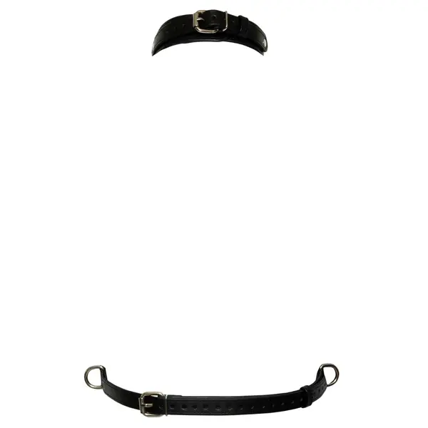 Нагръдник Bad Kitty