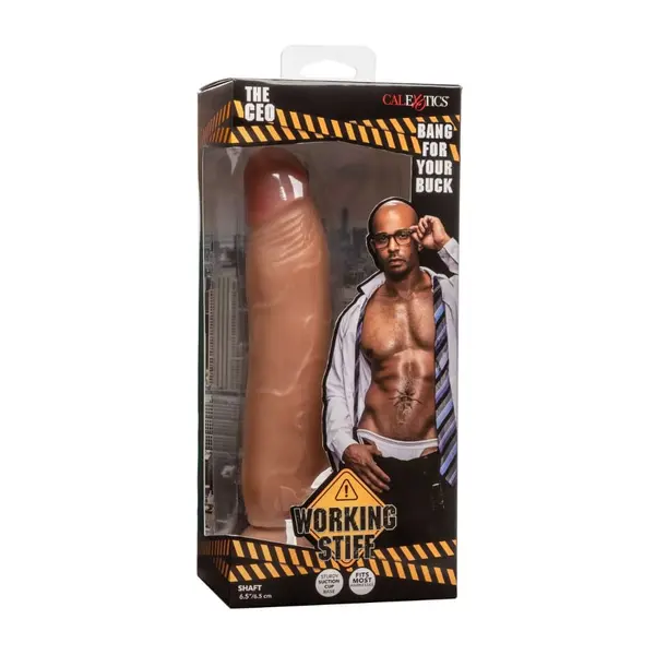 Дилдо Директорът